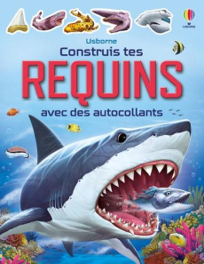 Construis tes requins avec des autocollants - SMITH/GONG STUDIOS