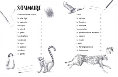 J’apprends à dessiner les animaux - Hodge Susie ; Gray Peter