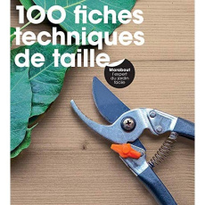 100 fiches techniques de taille - Hopes Fiona ; Rice Howard ; Hill Val ; Bricout Cat