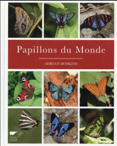Papillons du monde - Hoskins Adrian ; Lesaffre Guilhem