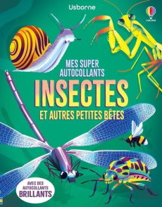 Insectes et autres petites bêtes - Mills Rebecca ; James Alice ; Duran Véronique