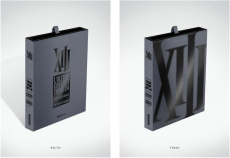 XIII Tome 24 collector : L'héritage de Jason Mac Lane. Contient des documents inédits - Jigounov Iouri ; Sente Yves ; Marquebreucq Bérengè