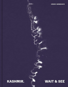 Kashmir. Wait and see, Edition bilingue français-anglais - Gerbehaye Cédric ; Reynolds Nathalène ; Ali Sultan