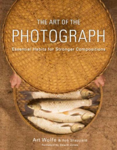 L'art de la photographie - Wolfe Art ; Sheppard Rob ; Jones Dewitt ; Kastner