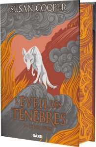 L'éveil des ténèbres Tome 3 : Le Roi gris. Edition collector - Cooper Susan ; Dolisi Florence