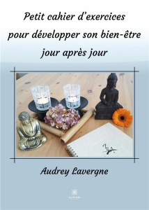 Petit cahier d'exercices pour développer son bien-être jour après jour - Lavergne Audrey