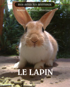 Le lapin - Tremblay Manon