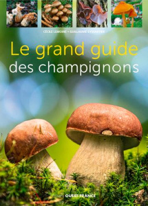 Le grand guide des champignons - Lemoine Cécile ; Eyssartier Guillaume