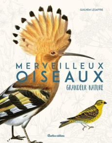 Merveilleux oiseaux. Grandeur nature - Lesaffre Guilhem