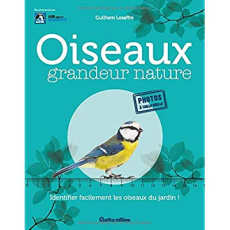 Oiseaux grandeur nature - Lesaffre Guilhem