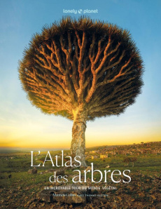 L'Atlas des arbres. Un incroyable tour du monde végétal - Collins Matthew ; Rutter Thomas ; Bindloss Joe