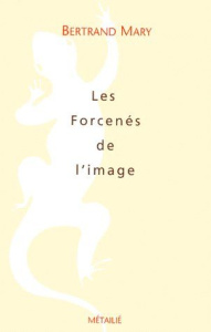 Les forcenés de l'image. Récits - Mary Bertrand