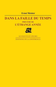 Dans la faille du temps. précédé de L'étrange année. Poèmes - Meister Ernst