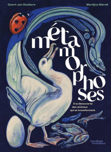 Métamorphoses. A la découverte des animaux qui se transforment - Roebers Geert-Jan ; Marell Merlijne ; Tron-Mulder