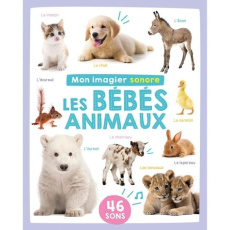 Les bébés animaux - COLLECTIF