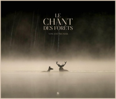 Le chant des forêts - Munier Vincent