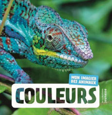 Couleurs - NATURAGENCY