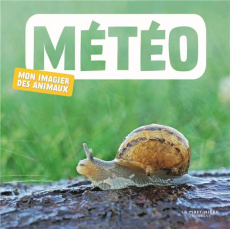 Météo - NATURAGENCY