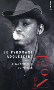 Le Pyromane adolescent. Suivi de Le Sang du vitrier - Noël James