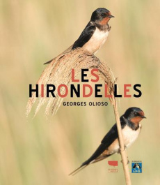 Les hirondelles - Olioso Georges