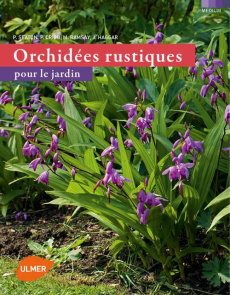 Orchidées rustiques pour le jardin - Cribb Phillip