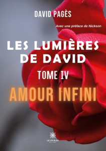 Les lumières de David Tome 4 : Amour infini - Pagès David