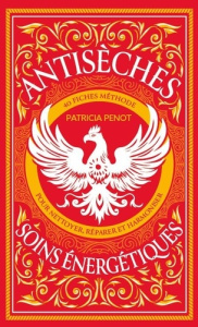 Antisèches des soins énergétiques. 40 fiches méthode pour nettoyer, réparer et harmoniser - Penot Patricia