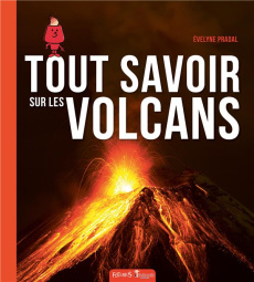 Tout savoir sur les volcans - Pradal Evelyne