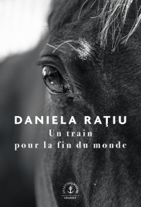 Un train pour la fin du monde - Ratiu Daniela ; Courriol Florica