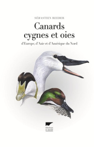 Canards, cygnes et oies d'Europe, d'Asie et d'Amérique du nord - Reeber Sebastien