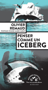 Penser comme un iceberg - Remaud Olivier ; Garat Anne-Marie