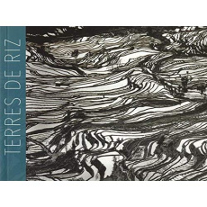 Terres de riz - COLLECTIF