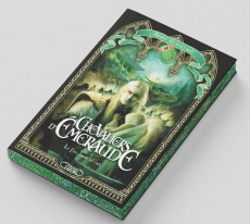 Les Chevaliers d'Emeraude Tome 1 : Le Feu dans le ciel. Edition collector - Robillard Anne