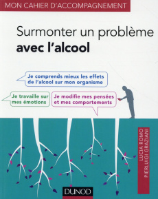 Surmonter un problème avec l'alcool - Romo Lucia ; Graziani Pierluigi ; Hautekèete Marc