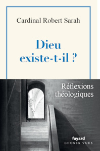 Dieu existe-t-il ? L'appel d'un homme qui recherche le salut - Sarah Robert