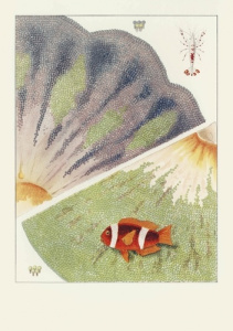 Carnet - La Grande Barrière de corail. Edition bilingue français-anglais - Saville-Kent William