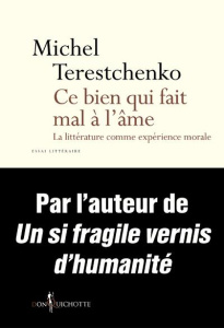 Ce bien qui fait mal à l'âme. La littérature comme expérience morale - Terestchenko Michel
