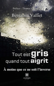 Tout est gris quand tout aigrit. A moins que ce ne soit l'inverse - Valliet Benjamin