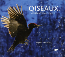 Oiseaux. Instants magiques - Varesvuo Markus ; Lesaffre Guilhem