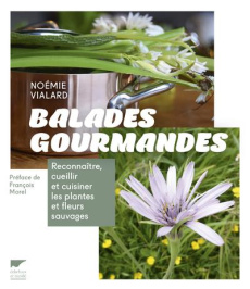 Balades gourmandes. Reconnaître, cueillir et cuisiner les plantes et fleurs sauvages - Vialard Noémie ; Morel François
