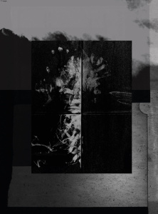 ONE MILLIMETER OF BLACK DIRT AND A VEIL OF DEAD COWS - VINCENT/JENDLY