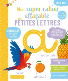 xxx-mon-super-cahier-effacable-petites-lettres-de-la-grande-section-au-cp-5-6-ans_0