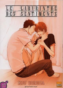 Le labyrinthe des sentiments - Yoneda Kou