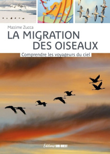 La migration des oiseaux. Comprendre les voyageurs du ciel, 4e édition revue et augmentée - Zucca Maxime ; Mérienne Patrick ; Dussuchal Anne-L