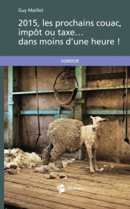2015, les prochains couac, impôt ou taxe dans moins d'une heure ! - Maillet Guy