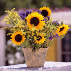 Serviettes de table : Sunflower Bouquet - Collectif