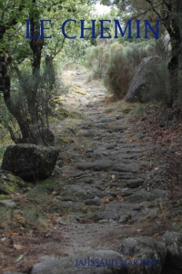 Le chemin - Martine Jaussaud