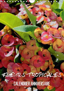 Fleurs tropicales. Calendrier anniversaire - Blank Rudolf