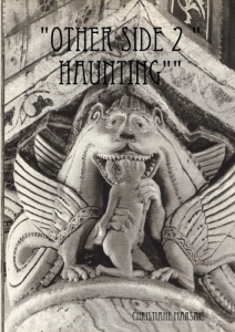 other side 2 "haunting" - Marsais Christiane