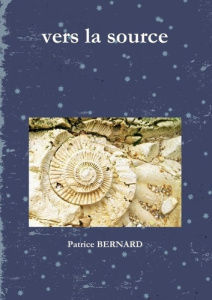 vers la source - Bernard Patrice